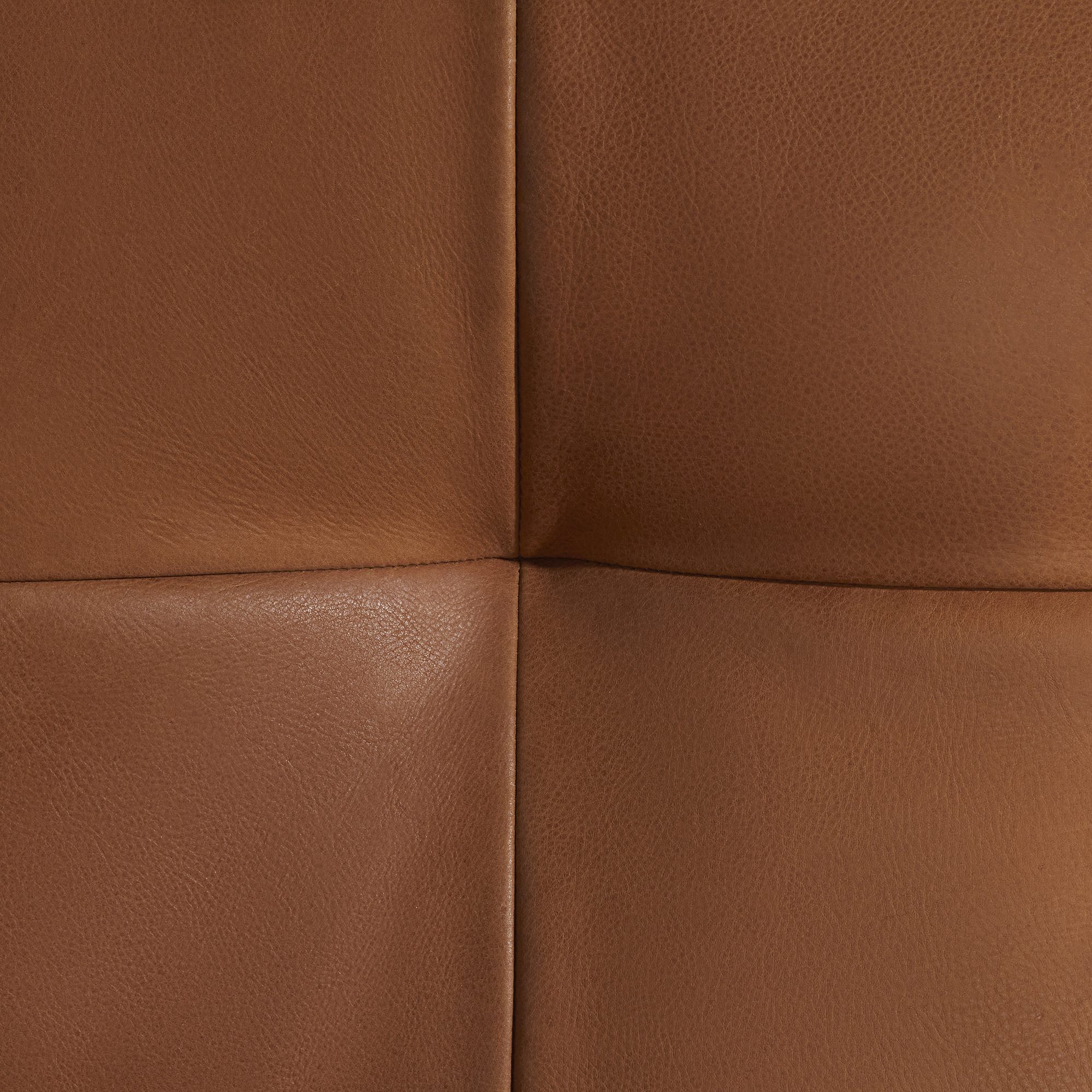 Aldo Leather 2 Seater Loveseat Sofa, Veneto Cognac