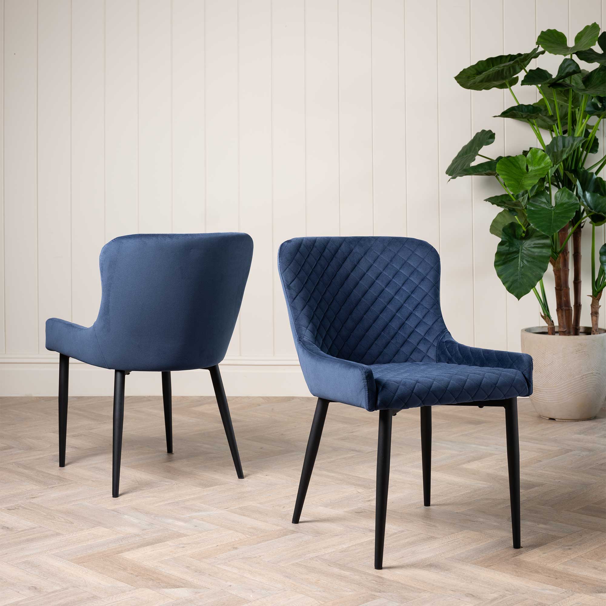 Rivington Blue Velvet Quilted Dining Chair, Blue Velvet and Black Legs